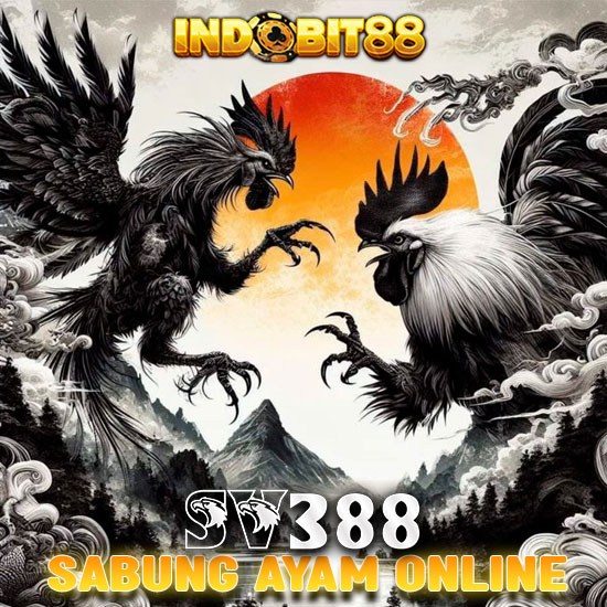 SV388: Situs No 1 Sabung Ayam Online Resmi Arena Filipina Live 24 jam